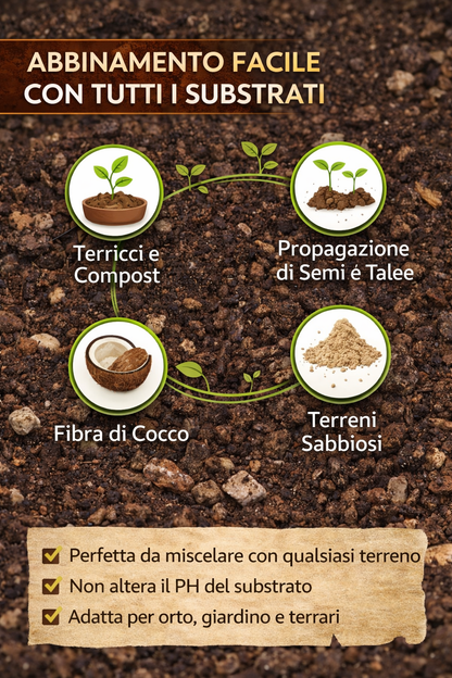 Vermiculite Espansa Fine - incubazione uova rettili tartarughe substrato