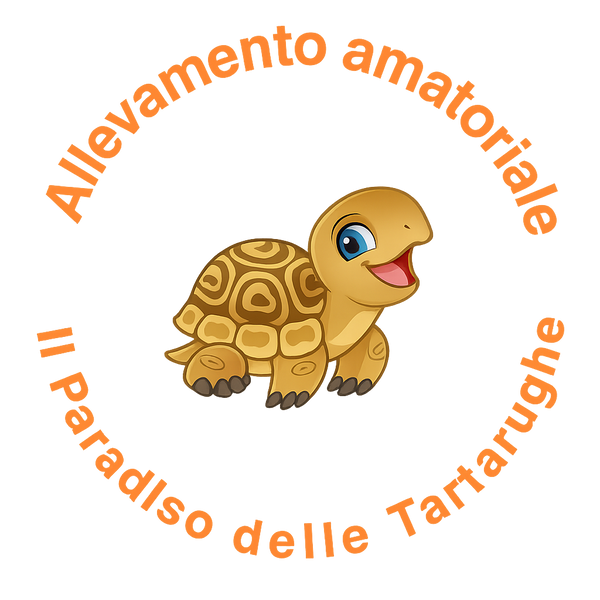 Il Paradiso Delle Tartarughe