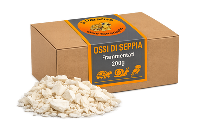 Ossi di seppia - fonte di calcio per tartarughe di terra, uccelli, lumache