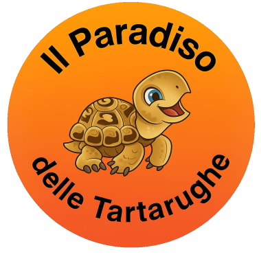 Il Paradiso Delle Tartarughe