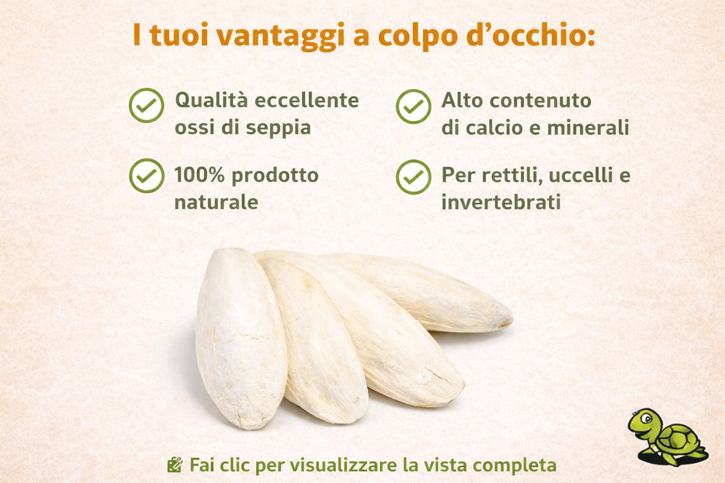 Ossi di seppia - fonte di calcio per tartarughe di terra, uccelli, lumache