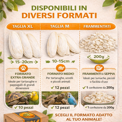 Ossi di seppia - fonte di calcio per tartarughe di terra, uccelli, lumache