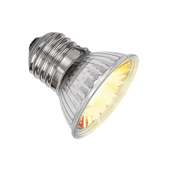 Lampadina 