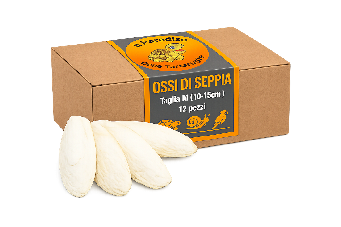 Ossi di seppia - fonte di calcio per tartarughe di terra, uccelli, lumache