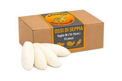 Ossi di seppia - fonte di calcio per tartarughe di terra, uccelli, lumache