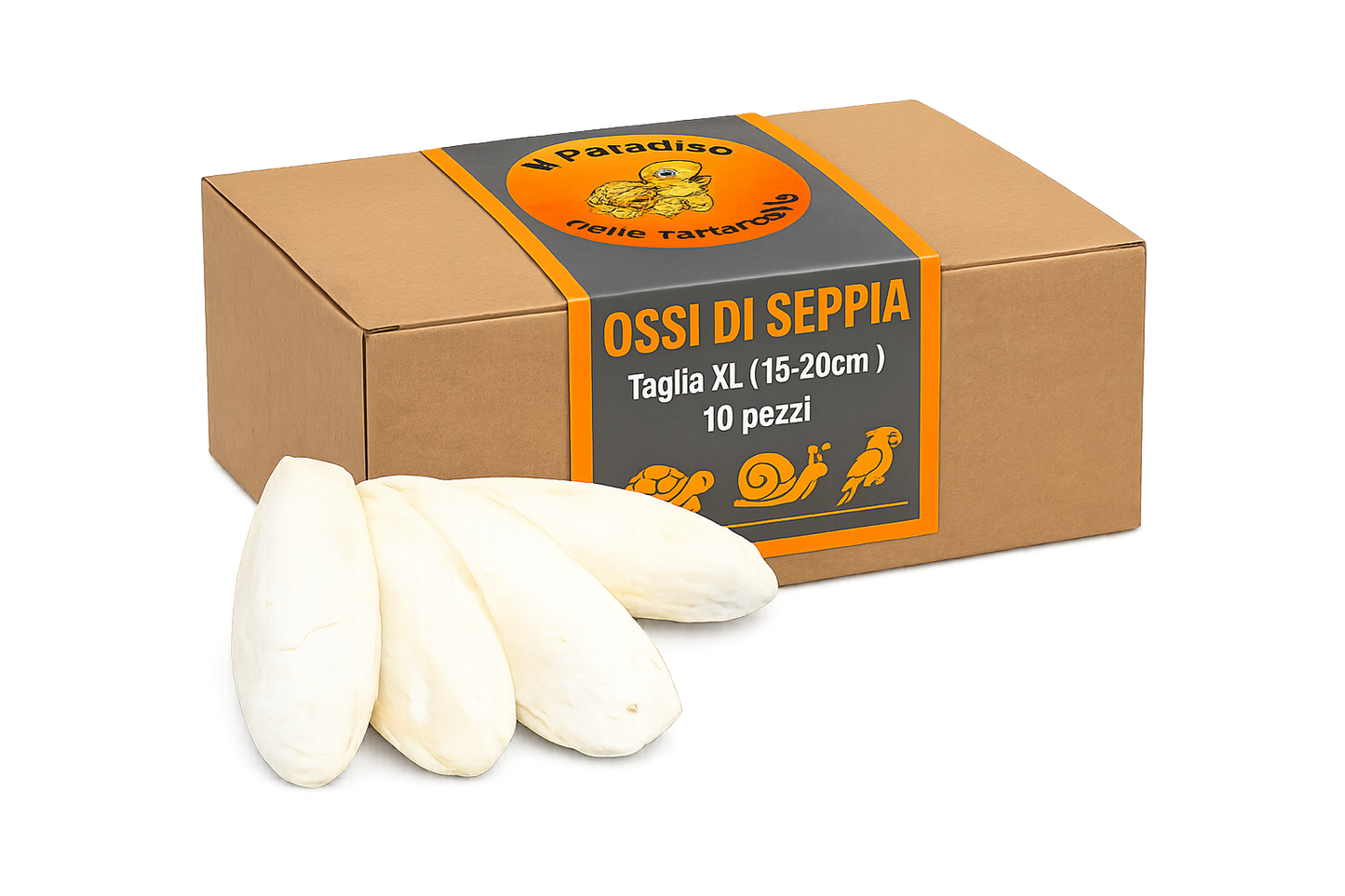 Ossi di seppia - fonte di calcio per tartarughe di terra, uccelli, lumache