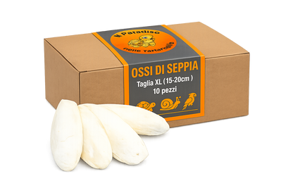 Ossi di seppia - fonte di calcio per tartarughe di terra, uccelli, lumache
