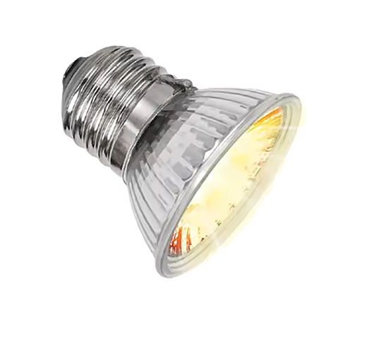 Lampadina "Spot" 50W